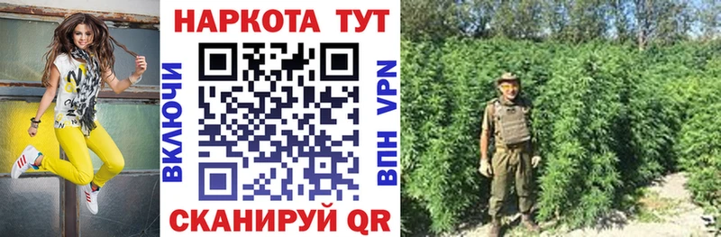 Где найти наркотики Льгов ГАШ  Бошки Шишки  Бутират  Меф 