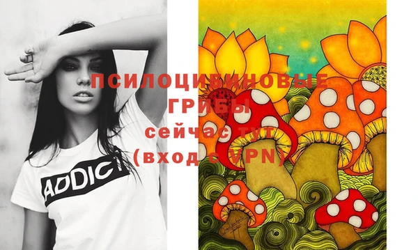 шишки Волоколамск