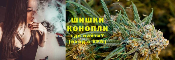 шишки Волоколамск