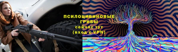СК Володарск