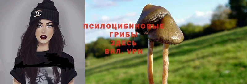 Псилоцибиновые грибы MAGIC MUSHROOMS  Льгов 